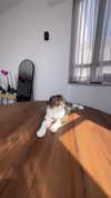 sonia_litvanchuk Altpins Profile Picture