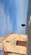 orman.mariee Altpins Profile Picture