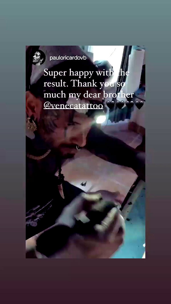 venecatattoo archive video preview