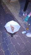 tinapavlov.sky Altpins Profile Picture