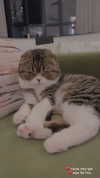 sonia_litvanchuk Altpins Profile Picture