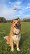 biton__adi Altpins Profile Picture