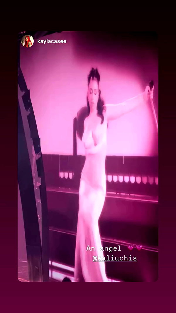 kaliuchis archive video preview