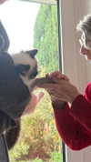 leni.bahr Altpins Profile Picture