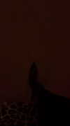 maya.keyy Altpins Profile Picture