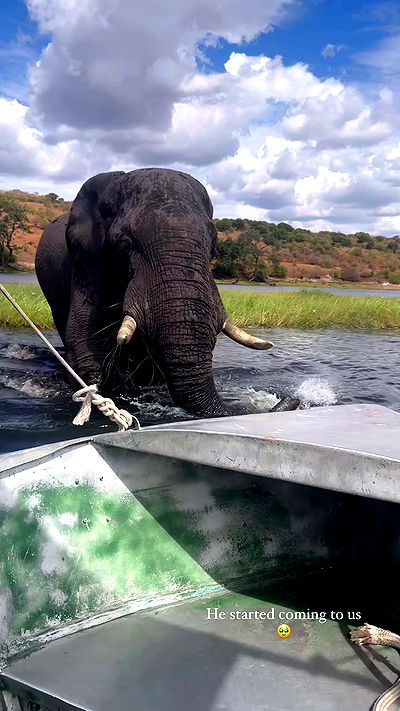 taylor.creeden taylor.creeden archive video