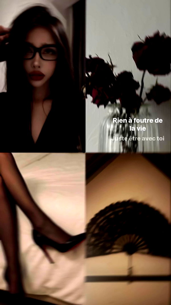 stea0diness archive video preview