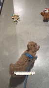 sophiecharlotth Altpins Profile Picture