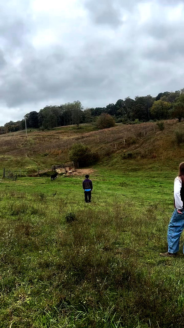 lila.clarkson archive video preview