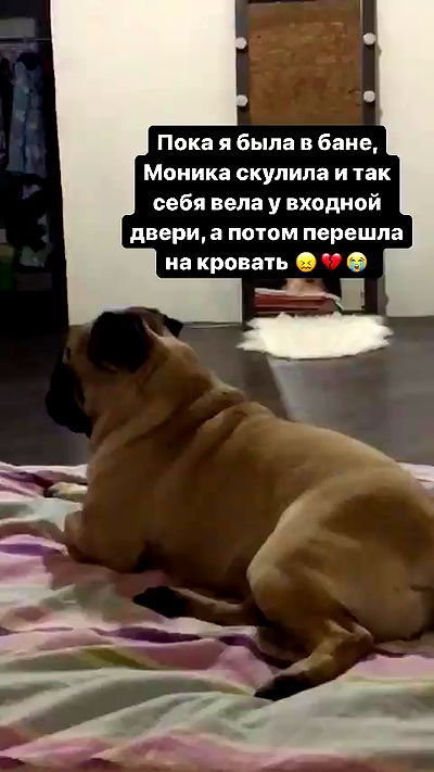 nyityam nyityam archive video