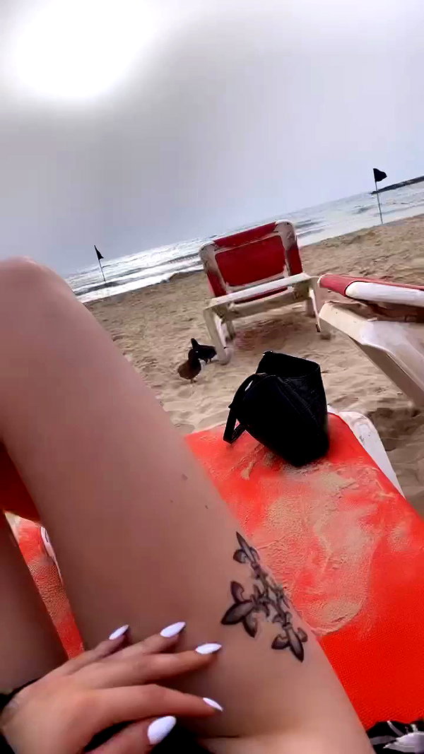 eliya.ho archive video preview