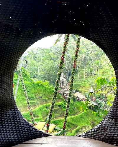 taylor.creeden taylor.creeden archive video