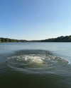 rouxroux.tv Altpins Profile Picture