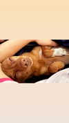 ritadim0 Altpins Profile Picture