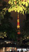 joycee.e Altpins Profile Picture