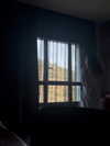 libby_reut Altpins Profile Picture