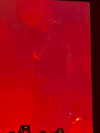 vampira_swami Altpins Profile Picture