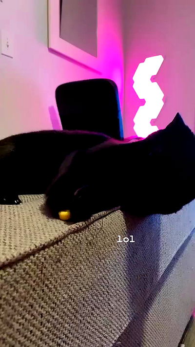 suikomuu suikomuu archive video