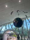 lior_levrun Altpins Profile Picture