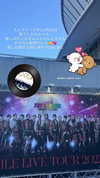 nagichan_doll Altpins Profile Picture