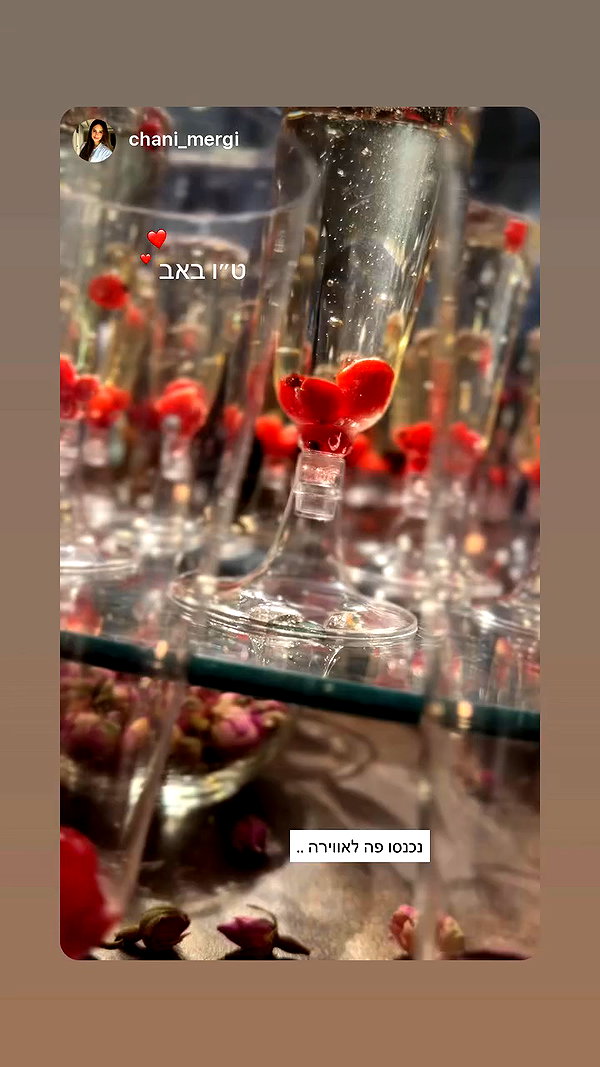 isrotel.hotels archive video preview
