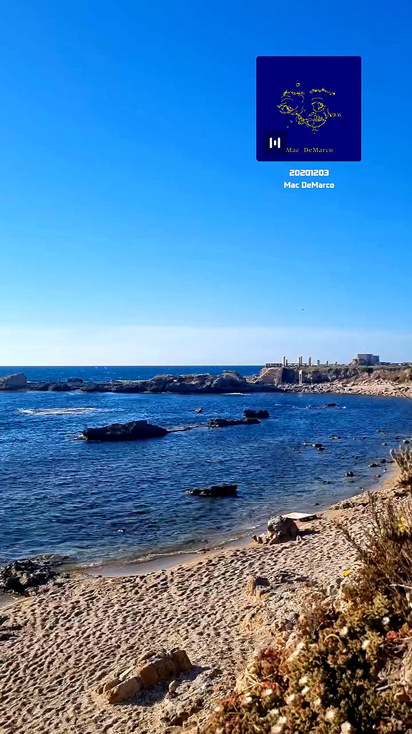 tamarli._ archive video preview
