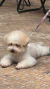 danchiii6403__ Altpins Profile Picture