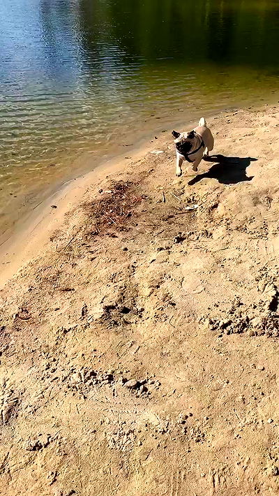 nyityam nyityam archive video