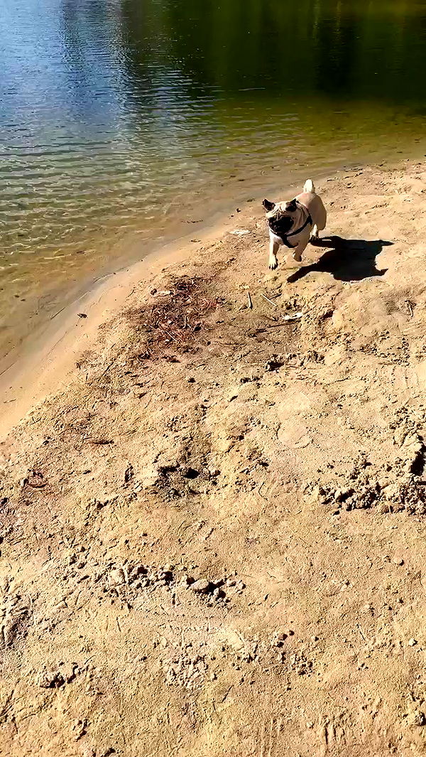 nyityam archive video preview