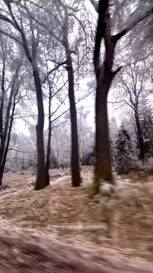 nikolpeleg archive video preview