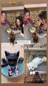 nicole.shpo Altpins Profile Picture