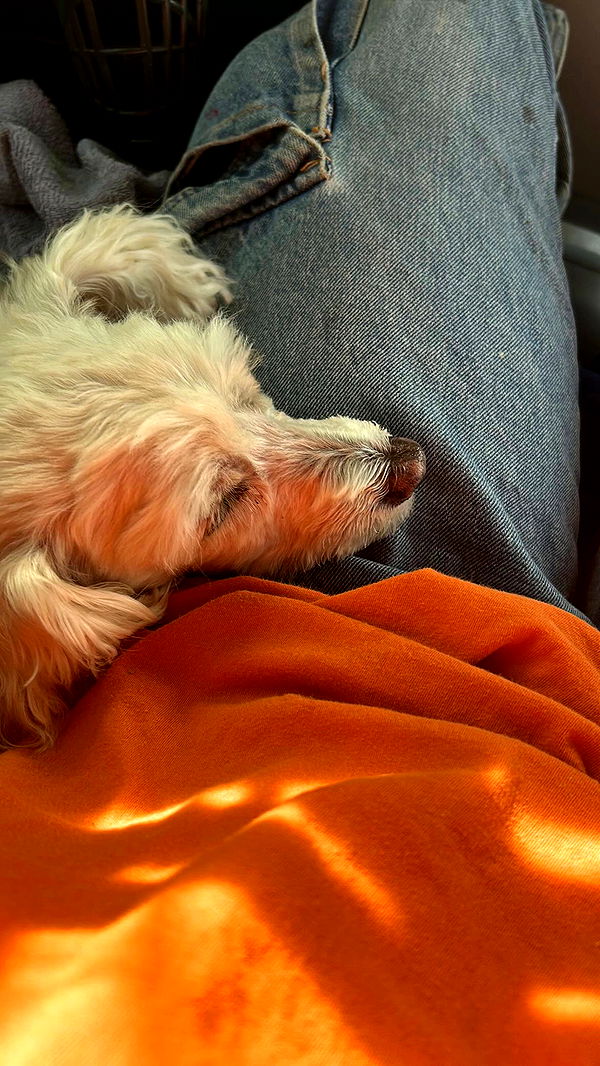 feelbetterinmysweater archive video preview