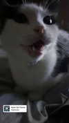 m3oww0_o Altpins Profile Picture