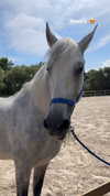 nomagdalina Altpins Profile Picture