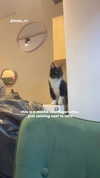 _kybelle Altpins Profile Picture