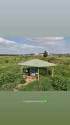 michael_ayazgi Altpins Profile Picture