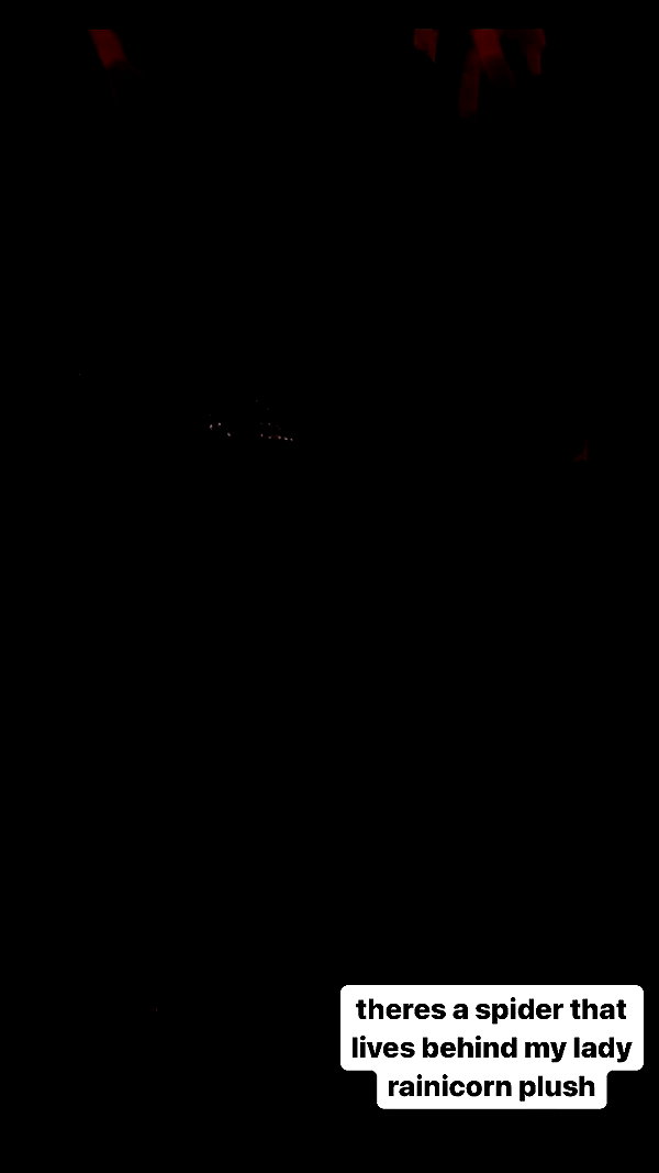 butter.on.a.poptart69 archive video preview