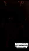 butter.on.a.poptart69 Altpins Profile Picture