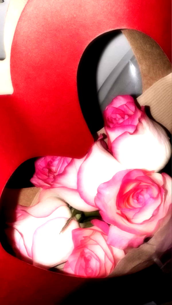 dustheadd archive video preview