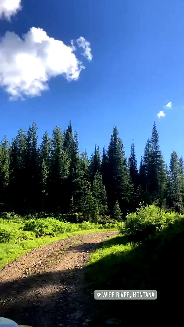 allie_dunn archive video preview