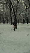 zarinamartinna Altpins Profile Picture