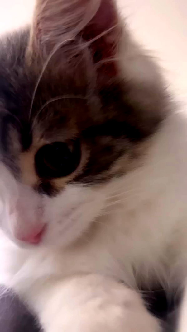 yuna_1_27 archive video preview