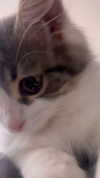 yuna_1_27 Altpins Profile Picture