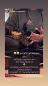 mishel116 Altpins Profile Picture