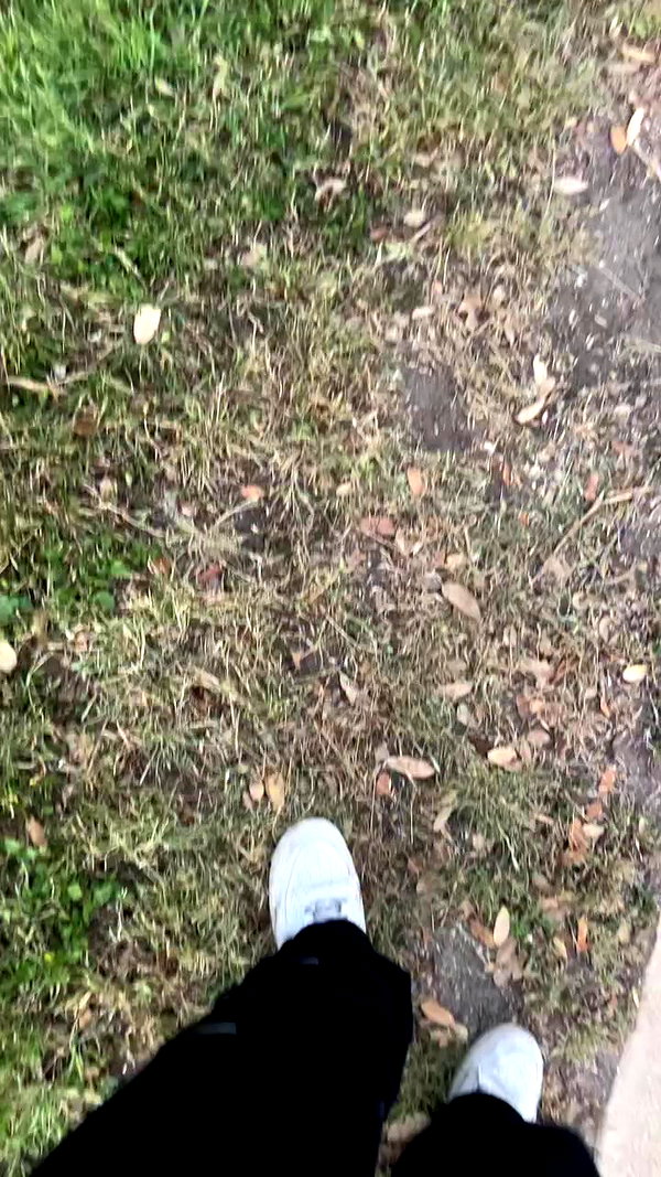 pixelpuppi archive video preview