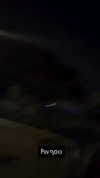 nicole.shpo Altpins Profile Picture