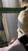 analuvillarreal Altpins Profile Picture