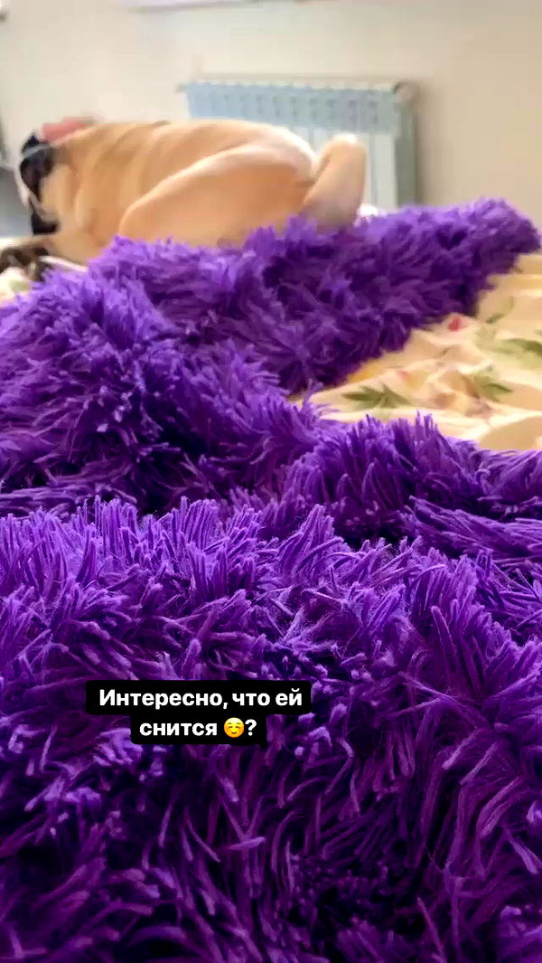 nyityam archive video preview