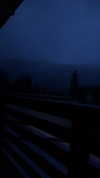 sonya00w Altpins Profile Picture