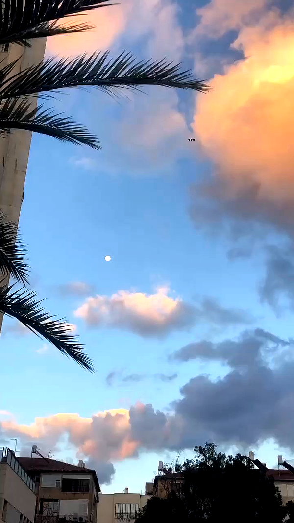 _.shelichka._ archive video preview